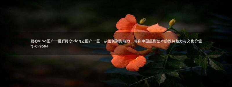 糖心vlog网页在线观看