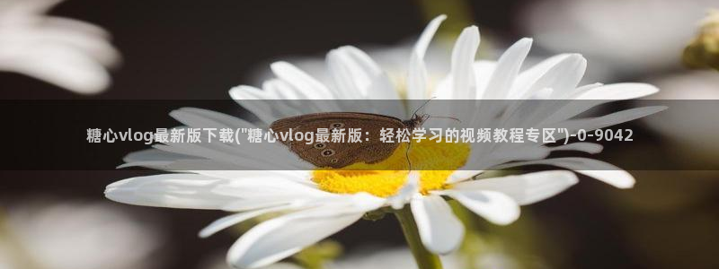 糖心vlog破解免费版