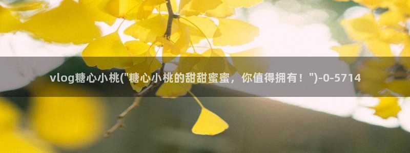 糖心vlog在线观看网站