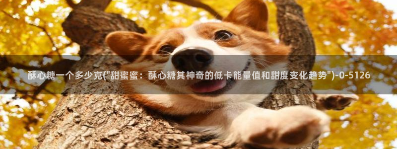 糖心vlog视频在线看
