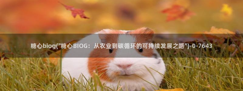 糖心vlog破解下载：糖心biog(\