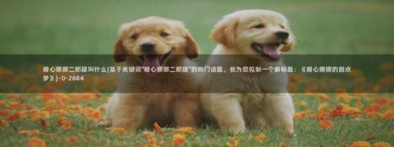 国产糖心vlog传媒nana
