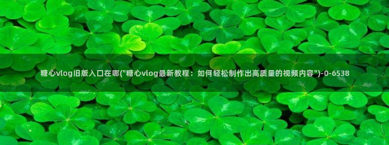 糖心vlog9