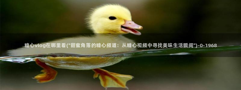 糖心vlog账号密码：糖心vlog在哪里看(\