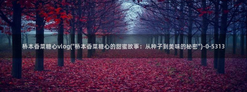糖心 vlog免费：桥本香菜糖心vlog(\