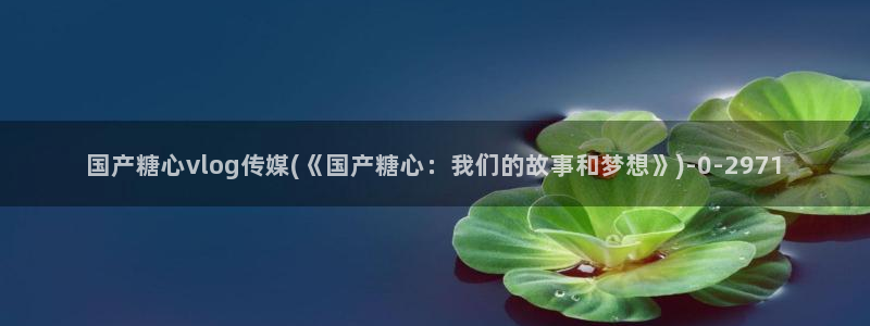 糖心vlog后入