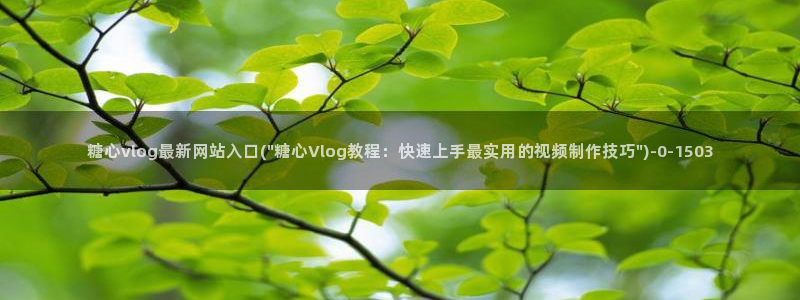 糖心vlog小桃内射