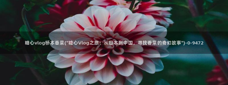 糖心vlog完整版在线观看：糖心vlog桥本香菜(\