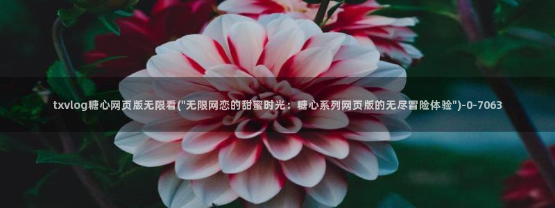 糖心 vlog：txvlog糖心网页版无限看(\