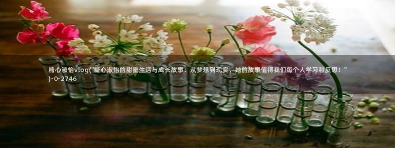 糖心vlog1：糖心淑怡vlog(\