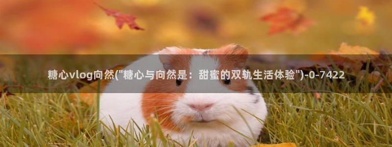 心糖vlog 网站：糖心vlog向然(\